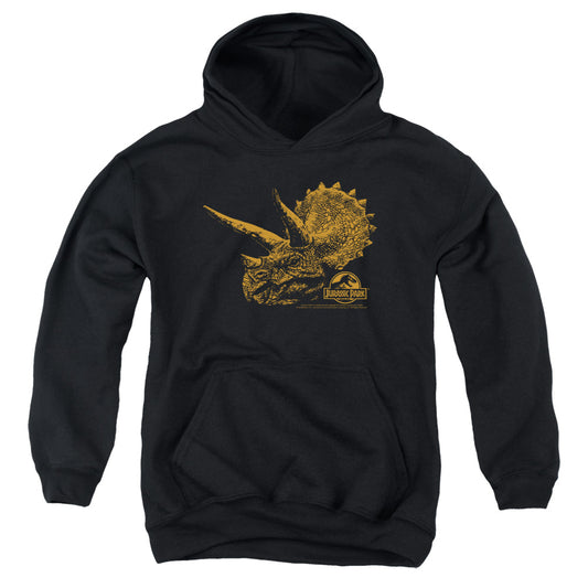 Jurassic Park - Tri Mount Youth Pull Over Hoodie - Forces Of Mankind