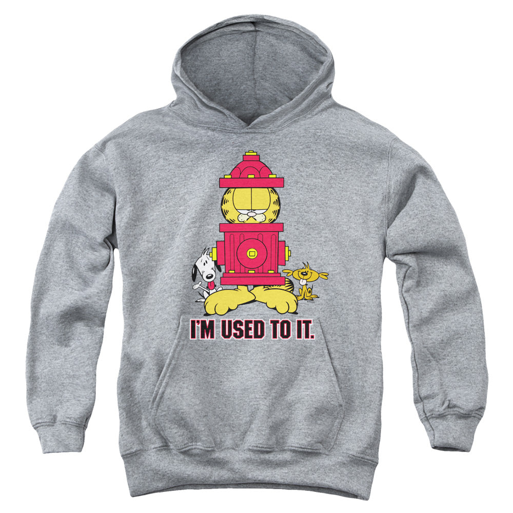 Garfield™ Youth Kids Hoodie (Ages7+) - I'm Used To It - Officially Licensed - Youth Kids Pull Over Hoodie