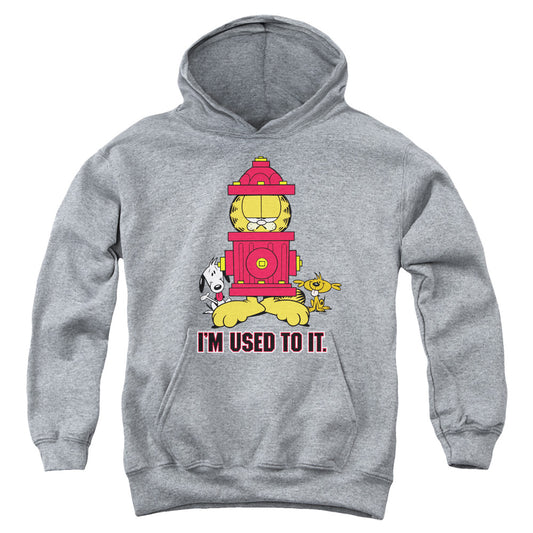 Garfield™ Youth Kids Hoodie (Ages7+) - I'm Used To It - Officially Licensed - Youth Kids Pull Over Hoodie