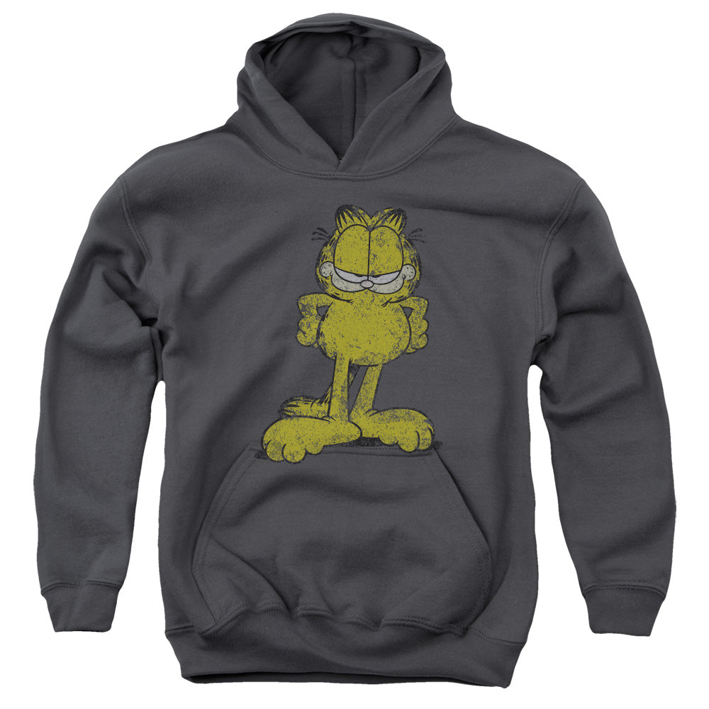 Garfield™ Youth Kids Hoodie (Ages7+) - Big Ol' Cat - Officially Licensed - Youth Kids Pull Over Hoodie