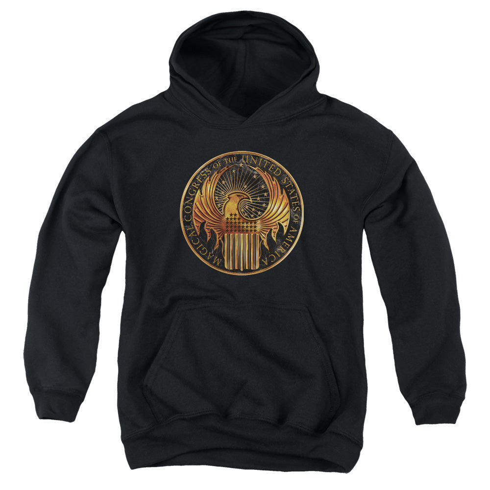 Fantastic Beasts - Magical Congress Crest Youth Pull Over Hoodie - Forces Of Mankind