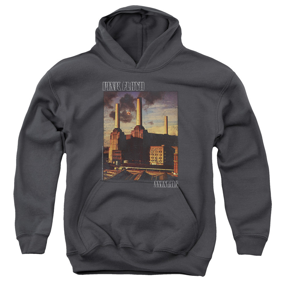 Pink Floyd™ Youth Kids Hoodie (Ages 7+) - Officially Licensed - Faded Animals - Youth Pull Over Hoodie
