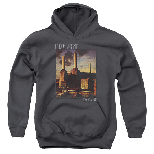 Pink Floyd™ Youth Kids Hoodie (Ages 7+) - Officially Licensed - Faded Animals - Youth Pull Over Hoodie
