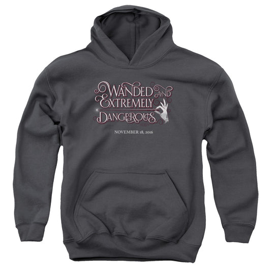 Fantastic Beasts - Wanded Youth Pull Over Hoodie - Forces Of Mankind