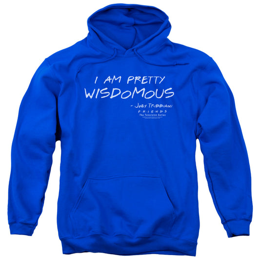 Friends - Wisdomous Adult Pull Over Hoodie - Forces Of Mankind