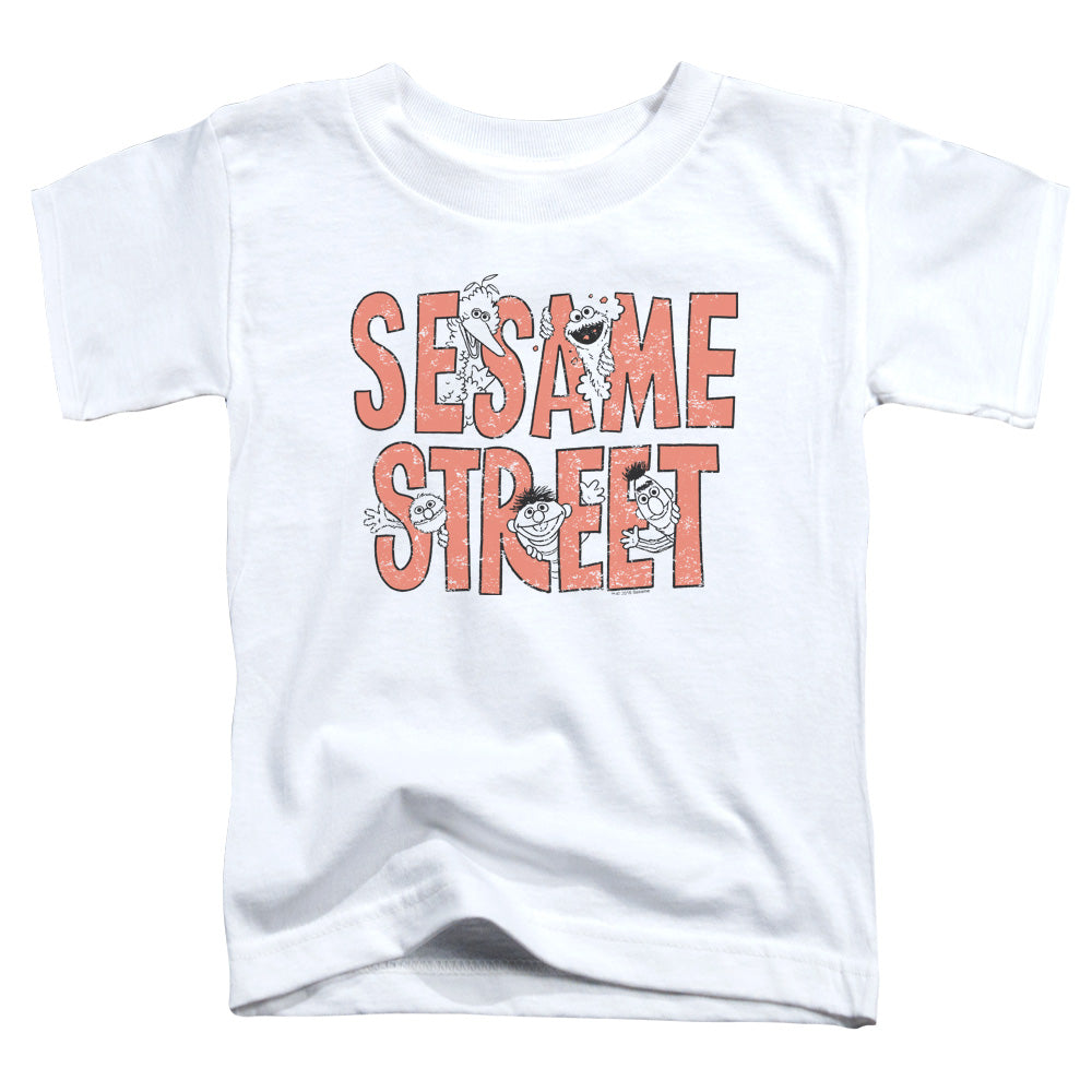 Sesame Street™ Shirt - Toddler Kids T-Shirt (Ages 2-4) - Short Sleeve Toddler Tee - In Letters - Officially Licensed - 2T 3T 4T