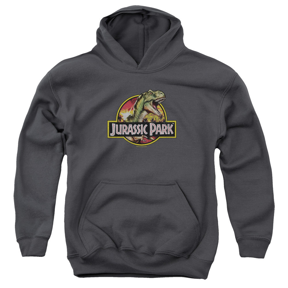 Jurassic Park - Retro Rex Youth Pull Over Hoodie - Forces Of Mankind
