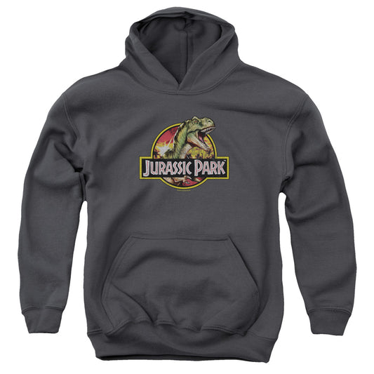 Jurassic Park - Retro Rex Youth Pull Over Hoodie - Forces Of Mankind