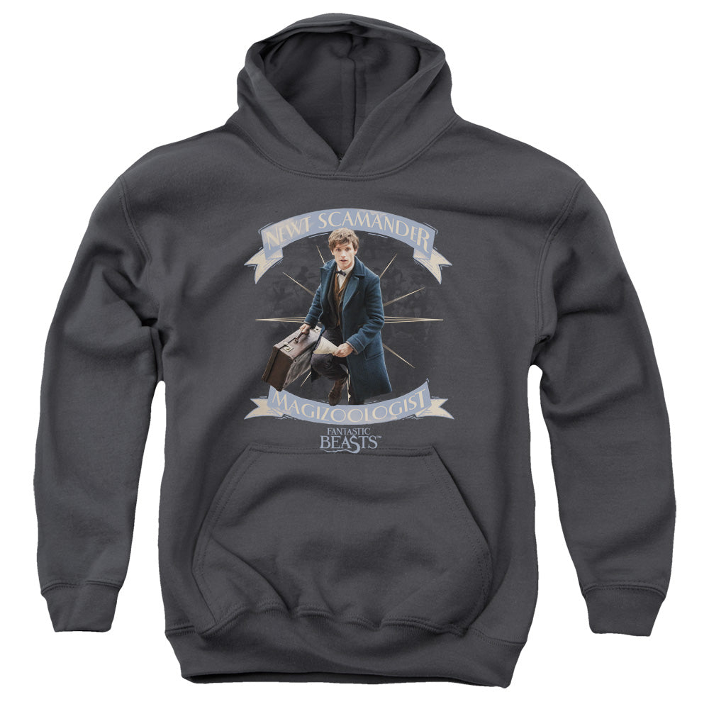 Fantastic Beasts - Newt Scamander Youth Pull Over Hoodie - Forces Of Mankind