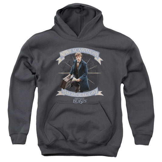 Fantastic Beasts - Newt Scamander Youth Pull Over Hoodie - Forces Of Mankind