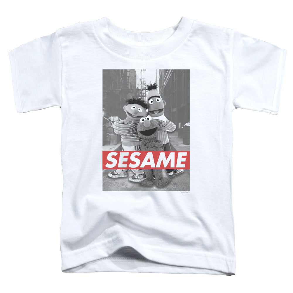 Sesame Street™ - Toddler Kids Shirt (Ages 2-4) - Officially Licensed - Sesame - Short Sleeve Toddler Tee - 2T 3T 4T