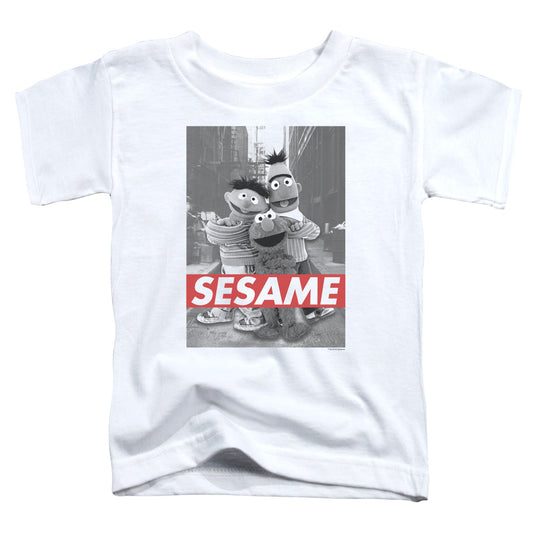 Sesame Street™ - Toddler Kids Shirt (Ages 2-4) - Officially Licensed - Sesame - Short Sleeve Toddler Tee - 2T 3T 4T