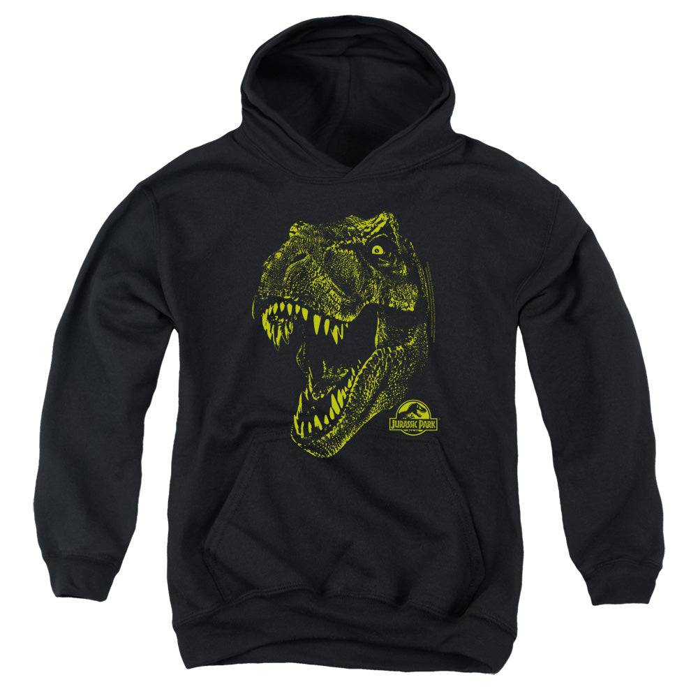 Jurassic Park - Rex Mount Youth Pull Over Hoodie - Forces Of Mankind