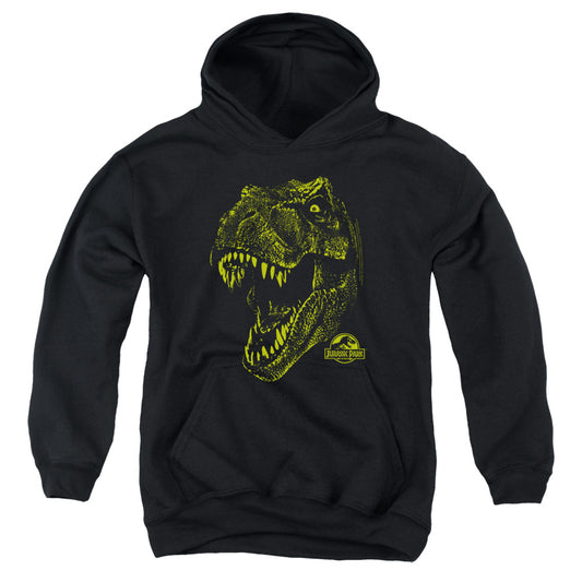 Jurassic Park - Rex Mount Youth Pull Over Hoodie - Forces Of Mankind