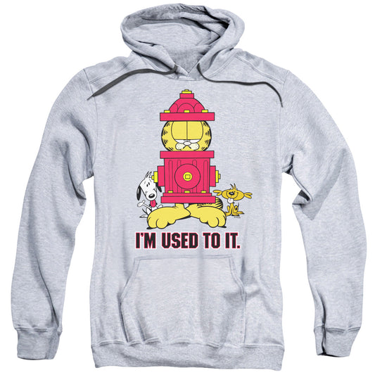 Garfield™ Hoodie - Officially Licensed - I'm Used To It - Unisex Adult Pull Over Hoodie