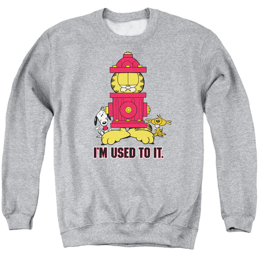 Garfield™ Sweatshirt - I'm Used To It - Officially Licensed - Adult Unisex Crewneck Sweatshirt